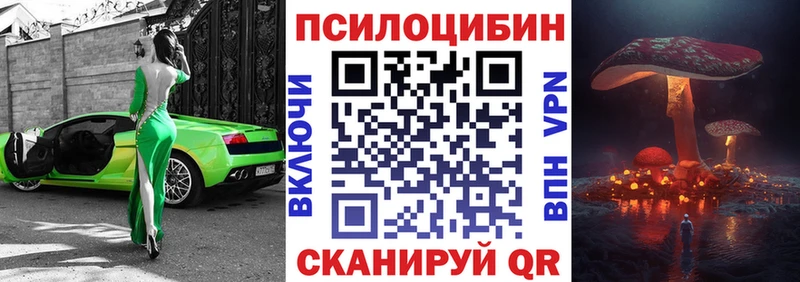 Псилоцибиновые грибы GOLDEN TEACHER  Гурьевск 